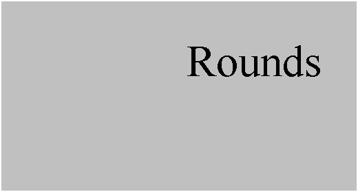 Text Box: Rounds
