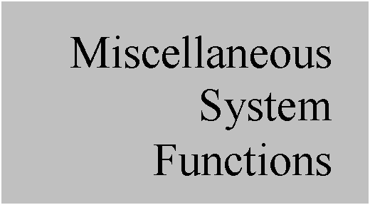 Text Box: Miscellaneous System Functions
